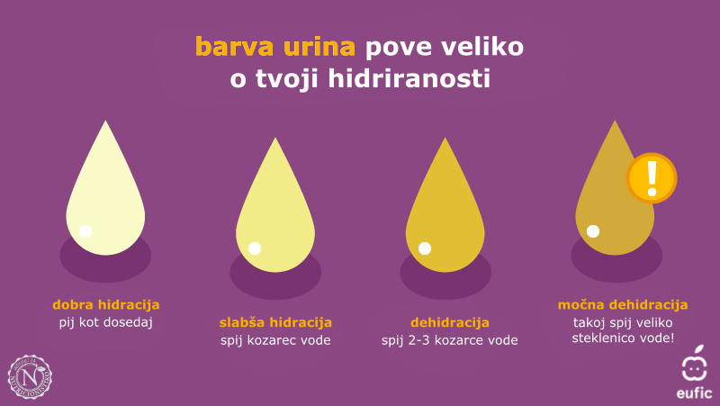 barva urina